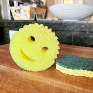 Dishwashing Sponge